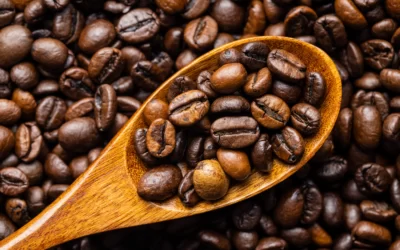 Les différences entre le café robusta et le café arabica