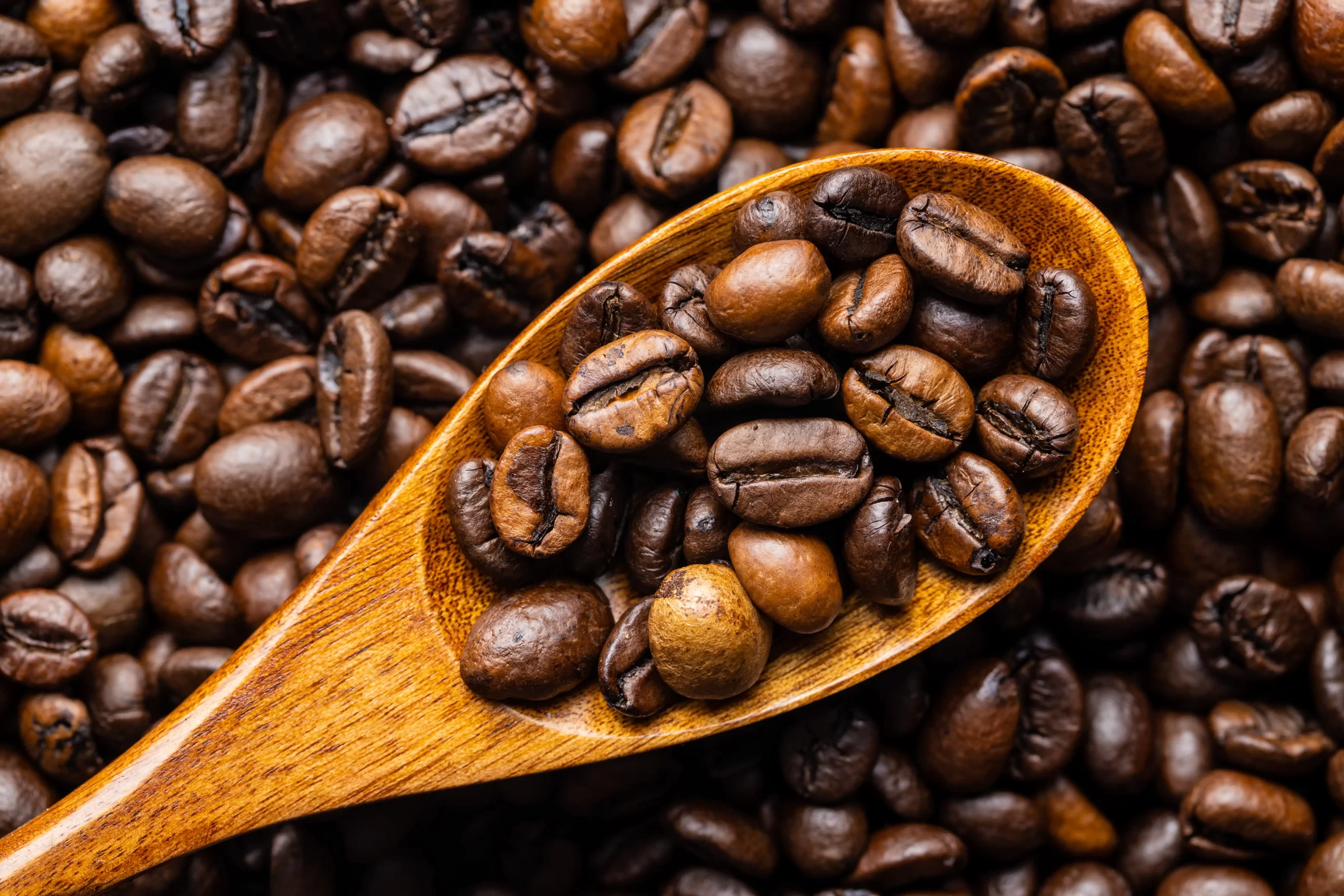 Mélange de grains de café arabica et robusta