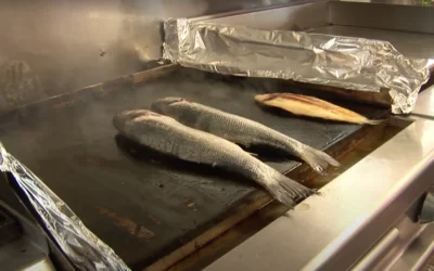 Comment cuire du poisson à la plancha ?