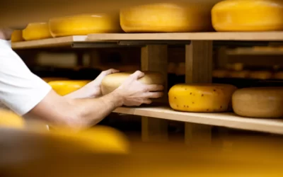 🧀 Raclette : quel fromage sélectionner ?