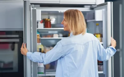 Réfrigérateur : comment bien le choisir ?